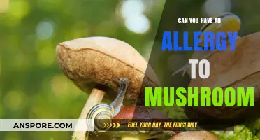 Mushroom Allergies: Symptoms, Causes, and How to Stay Safe
