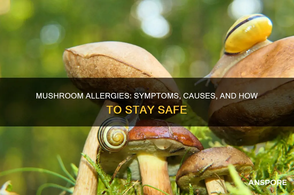 can you have an allergy to mushrooms