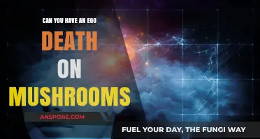 Exploring Ego Dissolution: Can Mushrooms Induce a Spiritual Death?