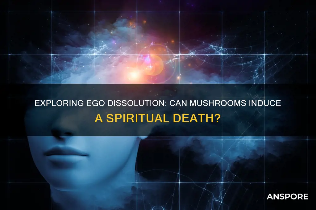 can you have an ego death on mushrooms