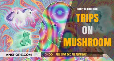 Exploring the Risks: Can You Have Bad Trips on Mushrooms?