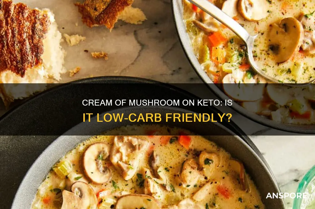 can you have cream of mushroom on keto