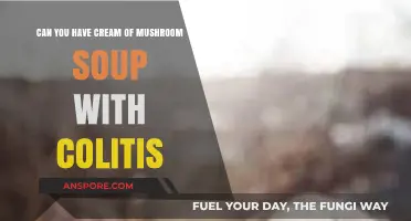 Cream of Mushroom Soup and Colitis: Safe or Risky Choice?