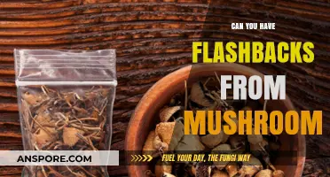Mushroom Flashbacks: Unraveling the Truth Behind Psychedelic Experiences
