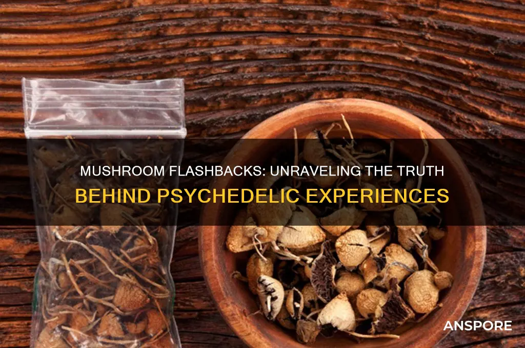 can you have flashbacks from mushrooms