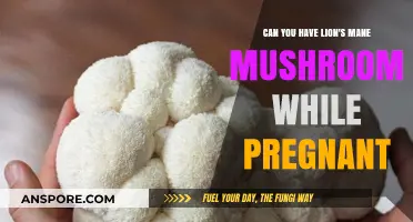 Lion's Mane Mushroom During Pregnancy: Safe or Risky Choice?