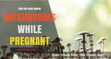 Pregnancy and Psilocybin: Risks of Magic Mushrooms During Pregnancy
