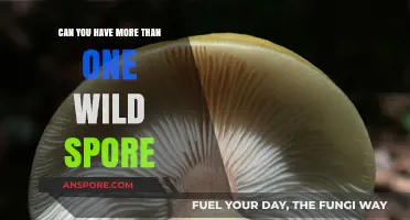 Exploring the Possibility of Multiple Wild Spores in Nature