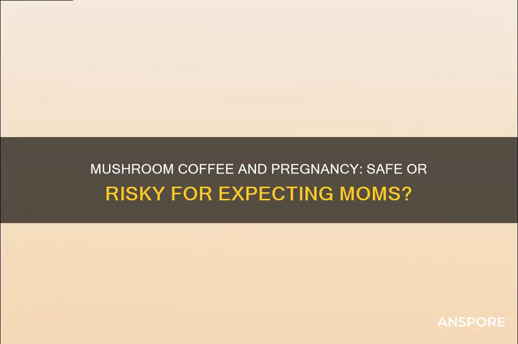 can you have mushroom coffee when pregnant