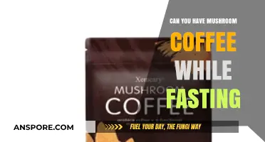Mushroom Coffee and Fasting: Does It Break Your Fast?