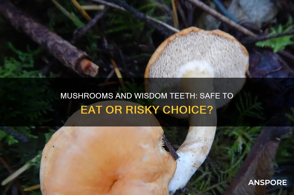 can you have mushroom on wisdom teeth