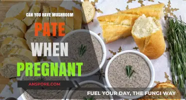 Pregnancy and Mushroom Pate: Safe or Risky Choice for Expecting Moms?