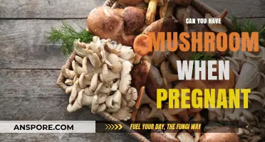 Pregnancy and Mushrooms: Safe to Eat or Best Avoided?