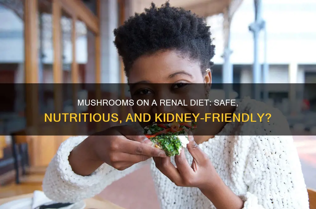 can you have mushrooms on a renal diet