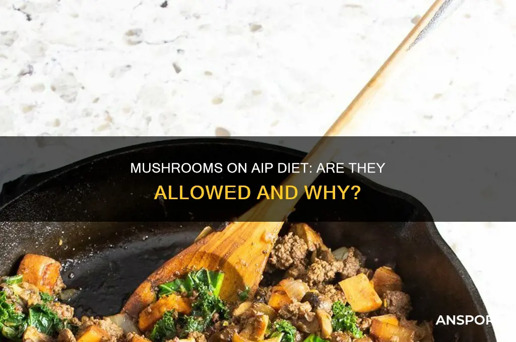 can you have mushrooms on aip diet