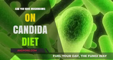 Mushrooms on Candida Diet: Safe or Off-Limits for Gut Health?