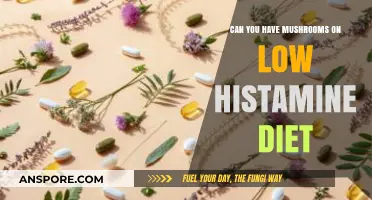 Mushrooms on a Low Histamine Diet: Safe or Off-Limits?