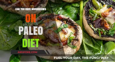 Are Mushrooms Paleo-Friendly? A Guide to Fungus on the Diet