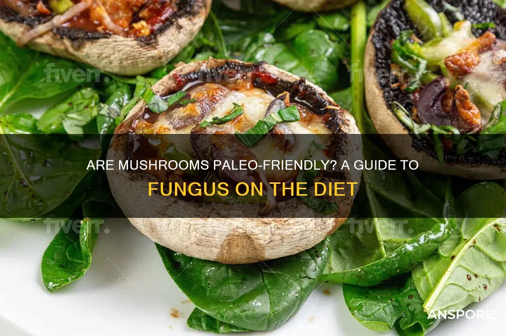 can you have mushrooms on paleo diet