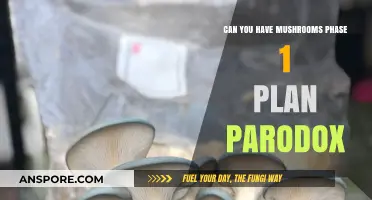 Mushrooms in Phase 1: Navigating the Plan Paradox Diet