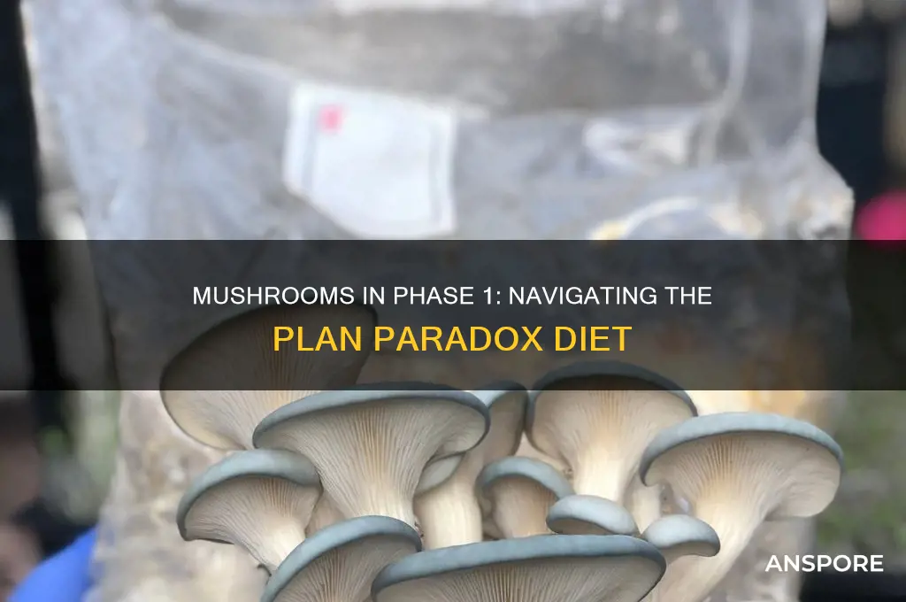 can you have mushrooms phase 1 plan parodox
