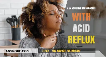 Mushrooms and Acid Reflux: Safe to Eat or Trigger Food?