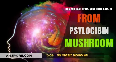 Psychedelic Risks: Can Psilocybin Mushrooms Cause Permanent Brain Damage?