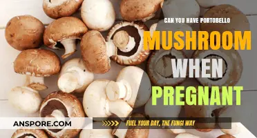 Pregnancy and Portobello Mushrooms: Safe or Not?