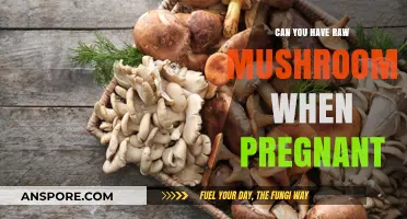 Pregnancy and Raw Mushrooms: Safe or Risky? Expert Advice