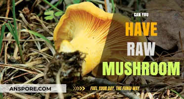 Can You Eat Raw Mushrooms? Benefits, Risks, and Safe Practices