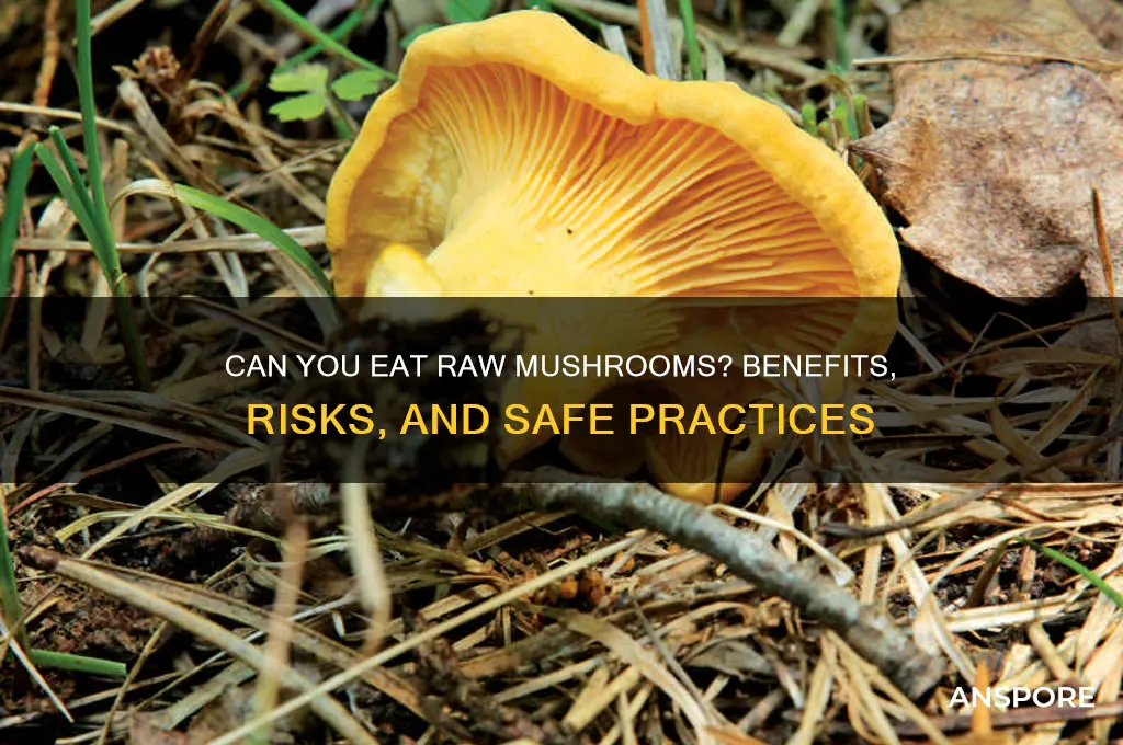 can you have raw mushrooms