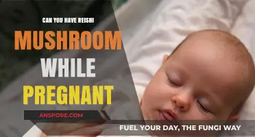 Reishi Mushroom Safety: What Pregnant Women Need to Know