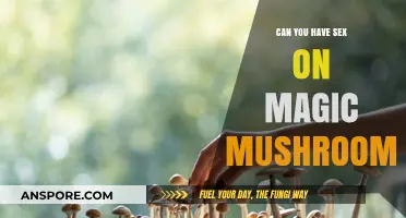 Exploring Intimacy: Sex on Magic Mushrooms – Risks and Insights