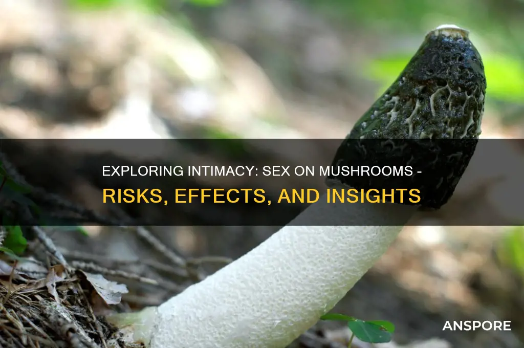 can you have sex on mushrooms