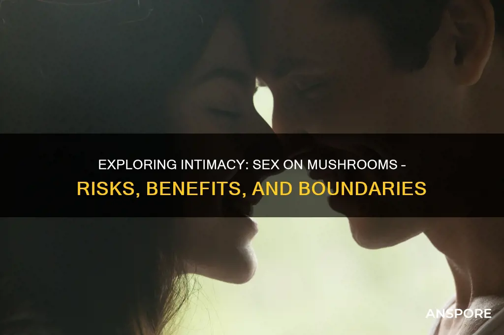 can you have sex while on mushrooms