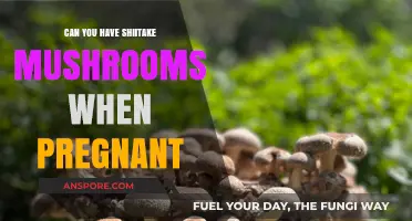 Shiitake Mushrooms During Pregnancy: Safe or Risky? Expert Insights