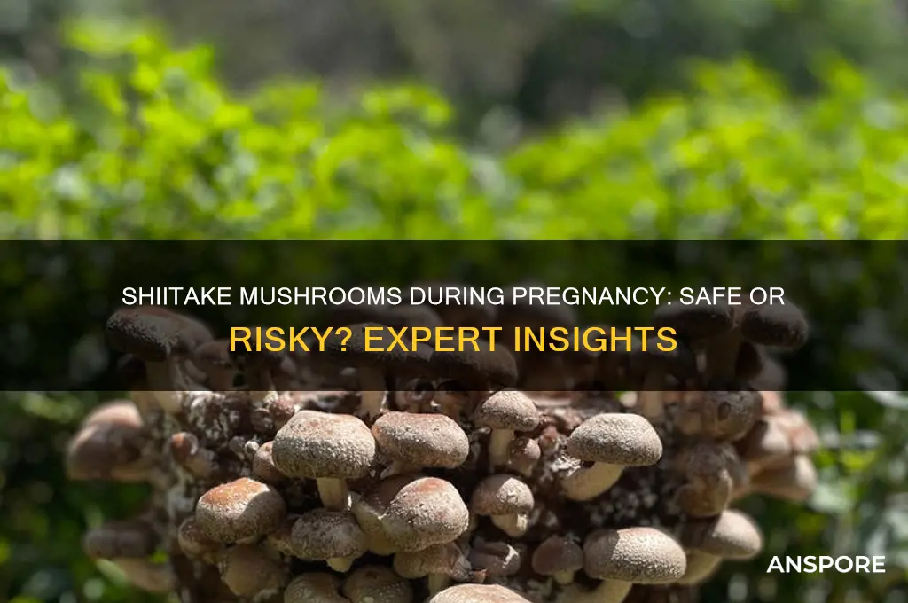 can you have shiitake mushrooms when pregnant