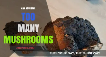 Mushroom Overload: Balancing Benefits and Risks of Excessive Consumption