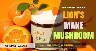 Lion's Mane Mushroom Overdose: Risks and Safe Consumption Limits