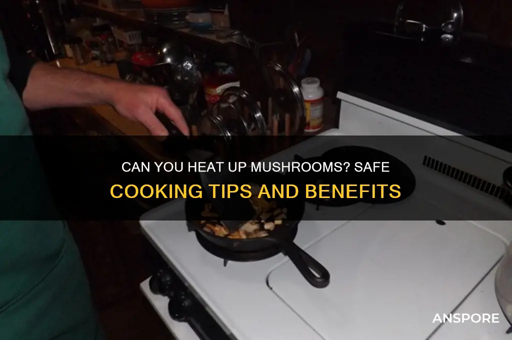 can you heat up mushrooms