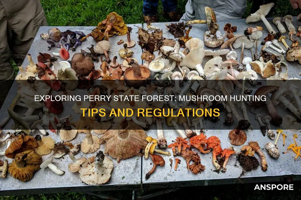 can you hunt mushrooms in perry state forest