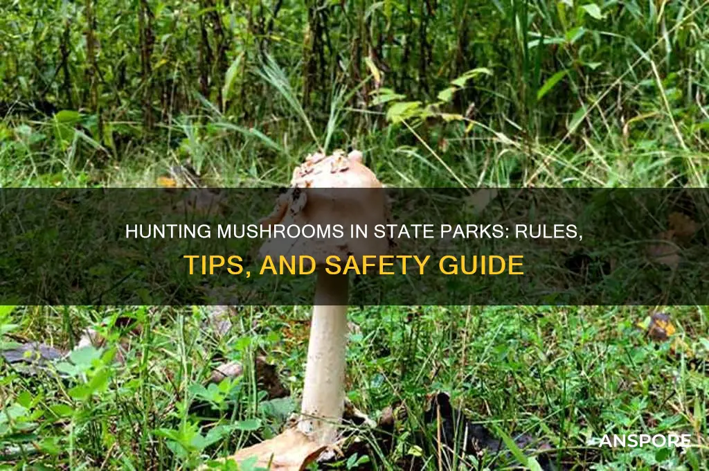 can you hunt mushrooms in state parks