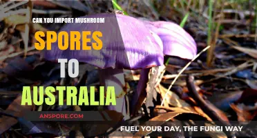 Importing Mushroom Spores to Australia: Legalities and Regulations Explained