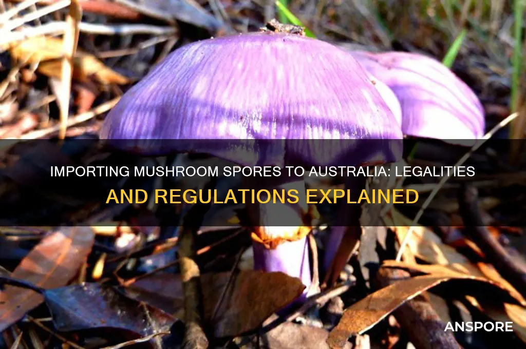 can you import mushroom spores to australia