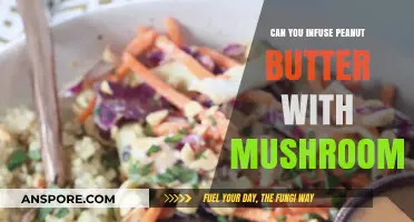Mushroom-Infused Peanut Butter: A Unique Culinary Adventure Explored