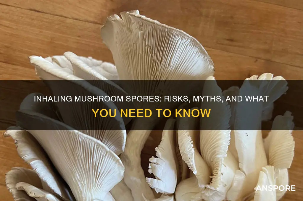 can you inhale mushroom spores