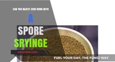 Injecting Cow Dung with Spore Syringe: Risks and Realities Explained
