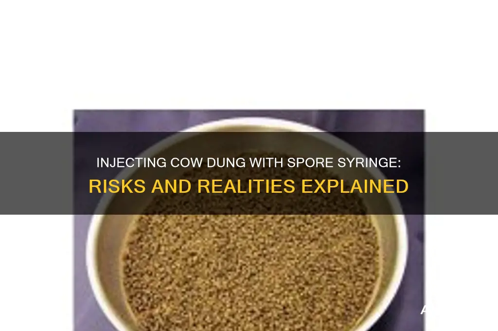 can you inject cow dunk with a spore sryinge