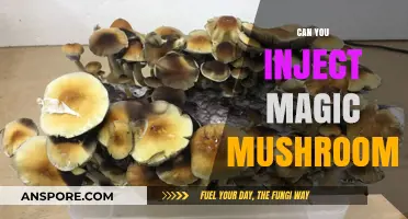 Injecting Magic Mushrooms: Risks, Myths, and Safer Consumption Methods