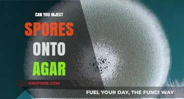 Injecting Spores onto Agar: Techniques, Benefits, and Best Practices Explained